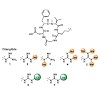 kessler_735_2015_angew_chem_int_ed_small_cause_201508713_500.100x0.jpg