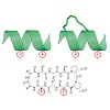 kessler_734_2015_angew_chem_int_ed_stable_peptides_instead_of_stapled_peptides201508709_ftp__500.100x0.jpg